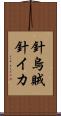 針烏賊 Scroll