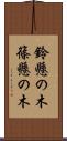 鈴懸の木 Scroll