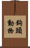 鉤頭動物 Scroll