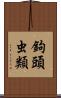 鉤頭虫類 Scroll