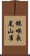 銀喉長尾山雀 Scroll