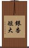 銀杏短大 Scroll