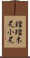 鐺 Scroll
