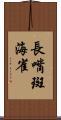 長嘴斑海雀 Scroll