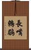 長嘴鷯鶥 Scroll