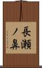 長瀬ノ鼻 Scroll