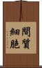 間質細胞 Scroll