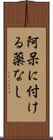 阿呆に付ける薬なし Scroll