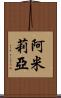 Amilia Scroll