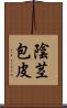 陰茎包皮 Scroll