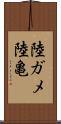 陸ガメ Scroll