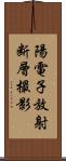 陽電子放射断層撮影 Scroll