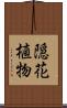 隠花植物 Scroll