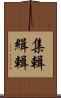 集輯 Scroll