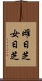 雌日芝 Scroll