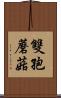 雙孢蘑菇 Scroll