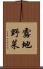 露地野菜 Scroll