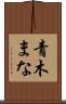 青木まな Scroll