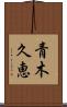 青木久恵 Scroll