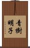 青樹明子 Scroll