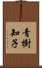 青樹知子 Scroll