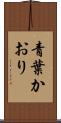 青葉かおり Scroll