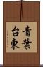 青葉台東 Scroll
