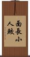 面長小人鮫 Scroll