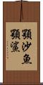 顎沙魚 Scroll