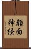 顔面神経 Scroll