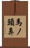 馬ノ頭鼻 Scroll