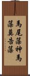 馬尾藻 Scroll