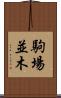 駒場並木 Scroll