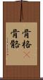 骨格(P) Scroll