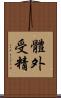 體外受精 Scroll