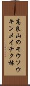 高良山のモウソウキンメイチク林 Scroll