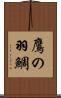 鷹の羽鯛 Scroll