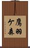 鷹羽ケ森 Scroll