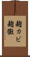 麹カビ Scroll