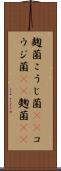 麹菌 Scroll