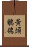 黃頭鶺鴒 Scroll