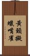 黃頸擬蠟嘴雀 Scroll