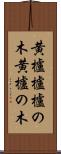 黄櫨 Scroll