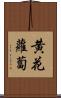 黄花蘿蔔 Scroll