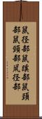 鼠径部 Scroll