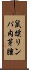 鼠蹊リンパ肉芽腫 Scroll