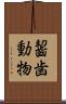 齧歯動物 Scroll