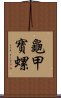 龜甲寶螺 Scroll