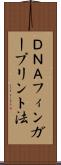 ＤＮＡフィンガープリント法 Scroll