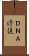 ＤＮＡ修復 Scroll